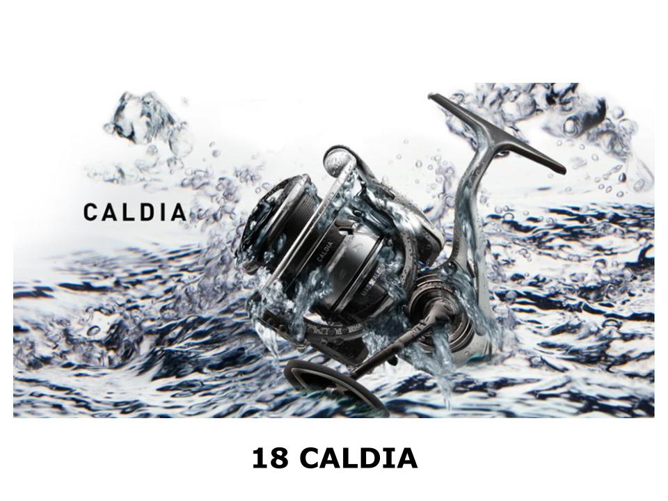 18 CALDIA