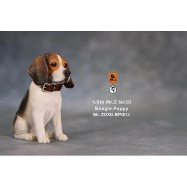 1/6 Scale John Wick Beagle Puppy Dog Yellow / Brown Figure