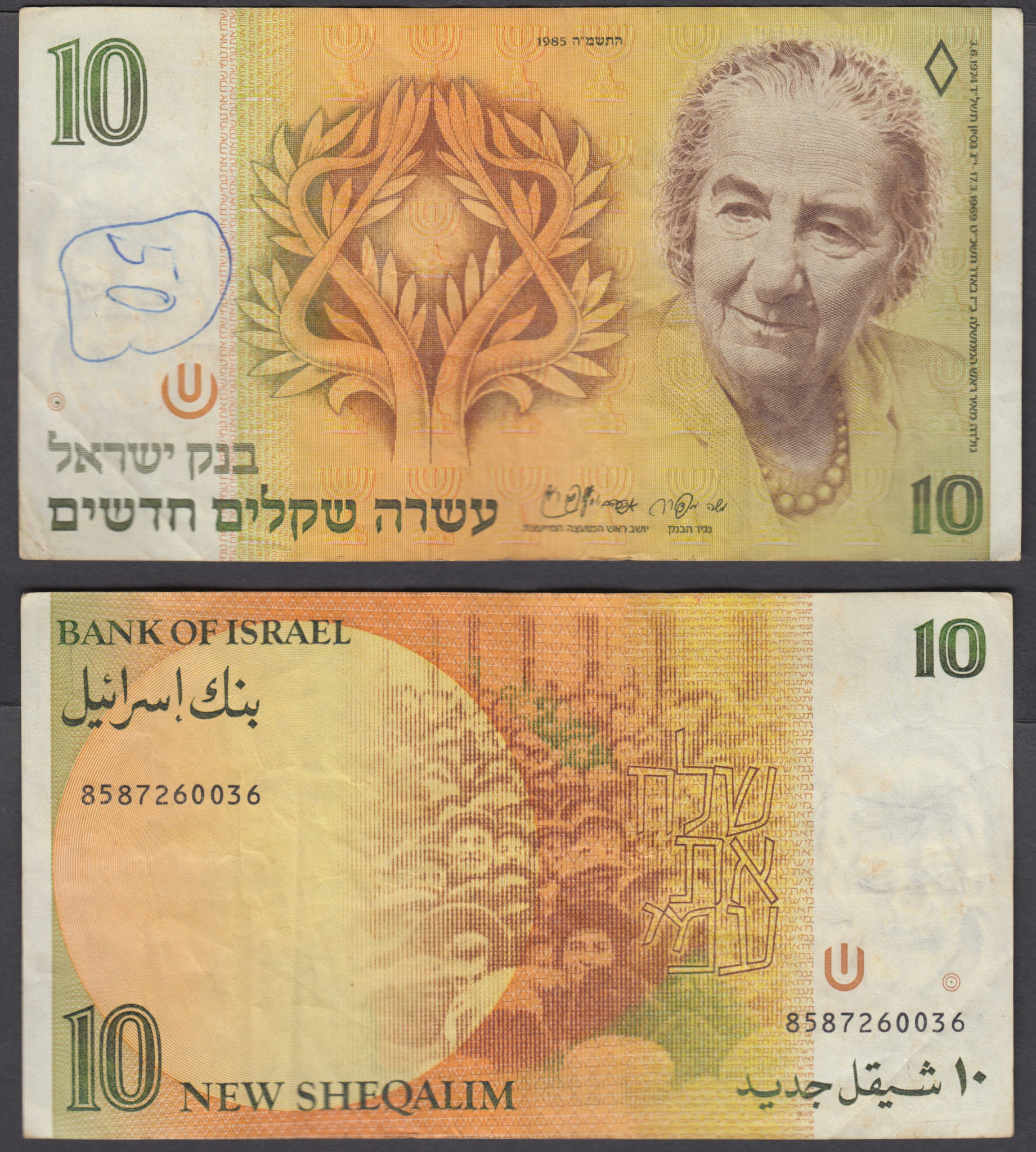 Israel 1000 Sheqalim Shekel Banknote 1983 XF