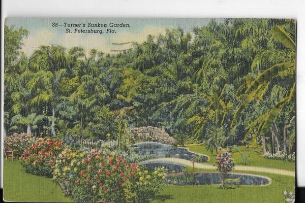 Turners Sunken Gardens St Petersburg Florida Postcard 1948 Ebay