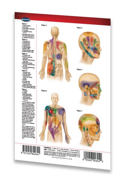 Trigger Point Chart Set Torso And Extremities