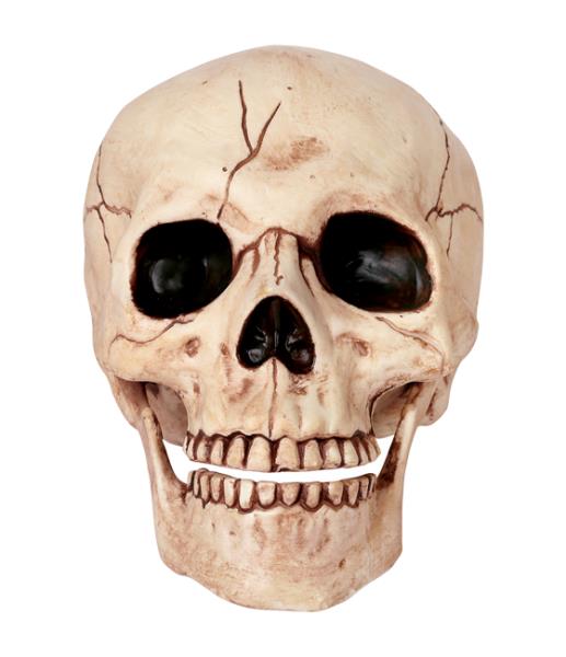 Demented Slasher Skeleton Halloween Decoration Prop NEW