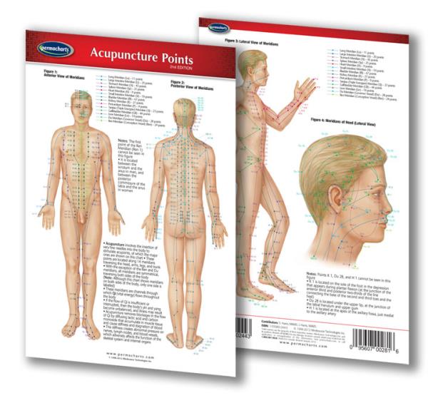 Acupuncture Chart