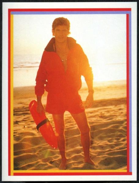 Mitch Buchannon David Hasselhoff #13 Baywatch Merlin 1993 Sticker C1255